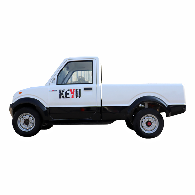 Good quality and low price, new design, electric pickup truck