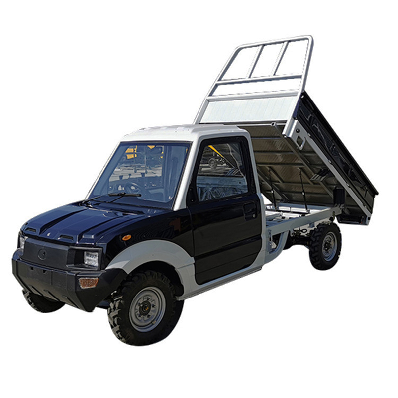 Electric Cargo box Truck 2 Seats Pickup