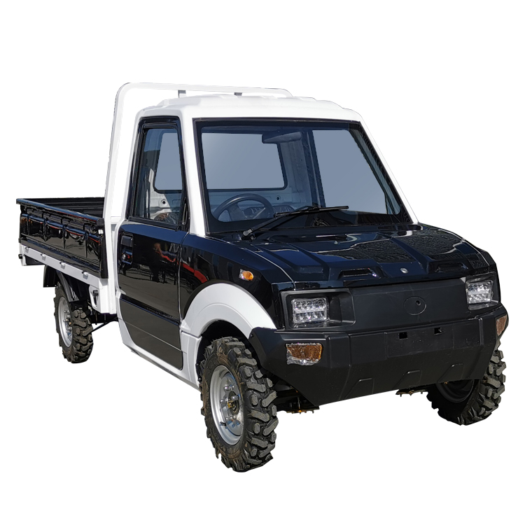 New Design Mini Car Pick Up Electric Cargo Vehicle Pickup Truck