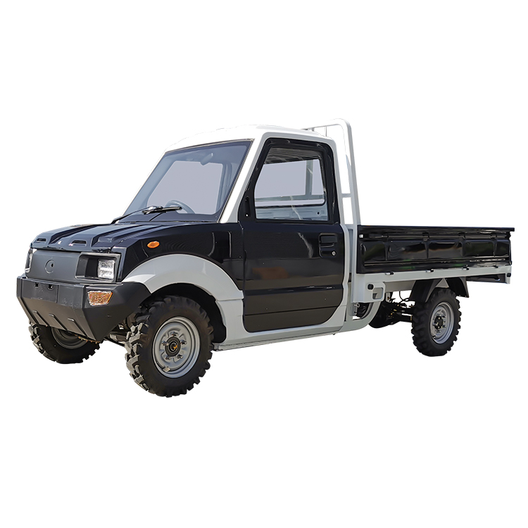 4 Wheel Electric Pickup Car