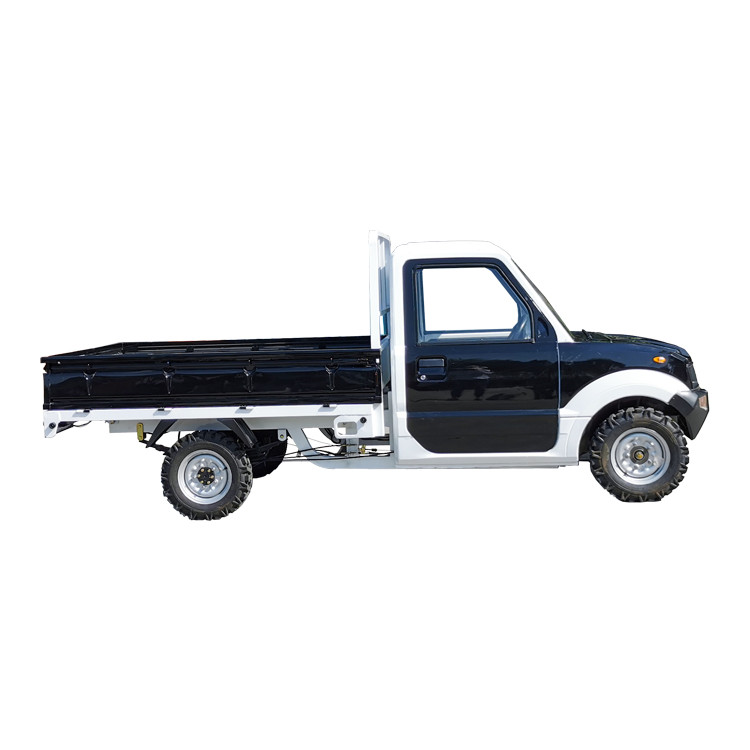 Electric Mini Lorry Truck Pickup