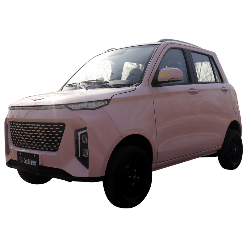 Factory direct sales Small battery electric car for adults