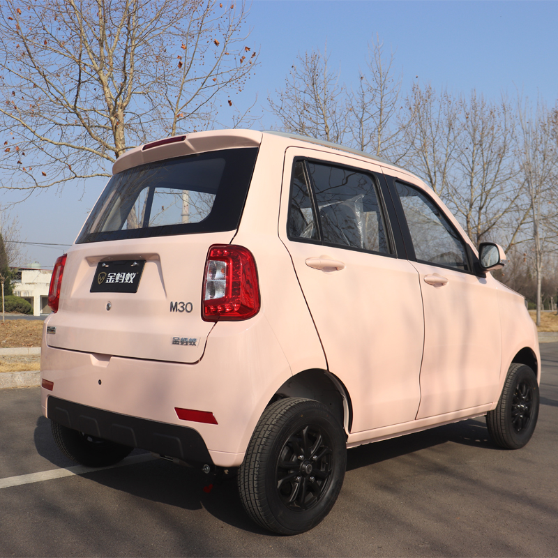 Factory direct sales Small battery electric car for adults