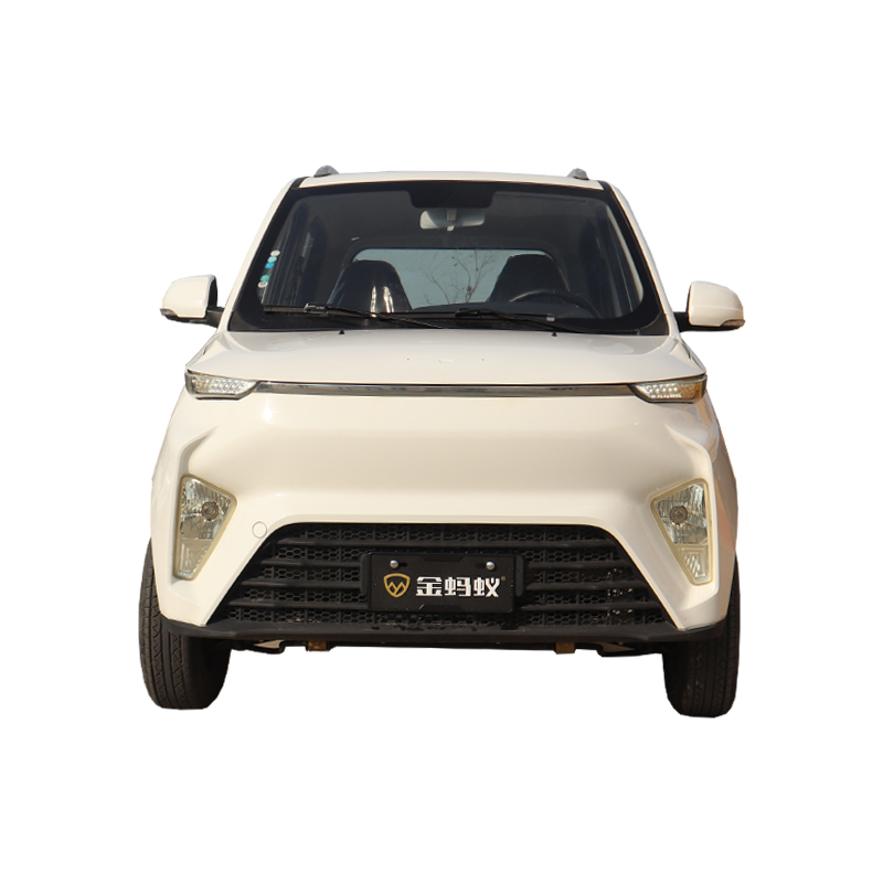 Car -level technology battery powered micro electric passenger car