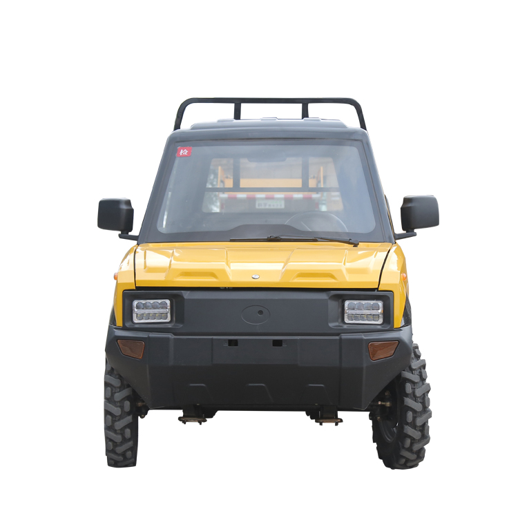 Factory Directly Sell Small Customised Electric Four Weel Pickup Truck Mini Pick Up