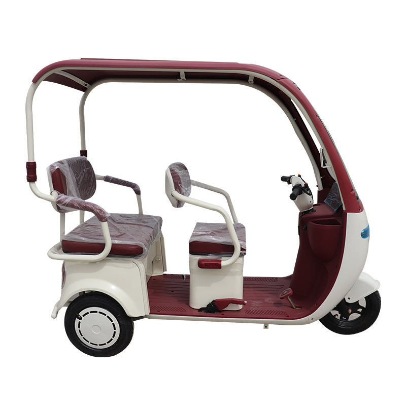 A9 Electric tricycle