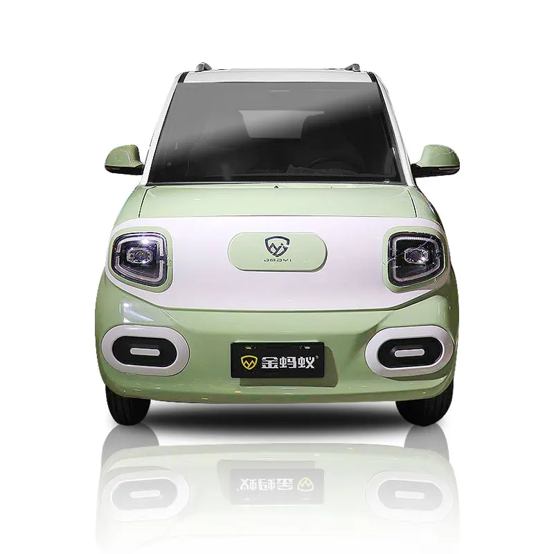 4 Seats Mini Electric Car